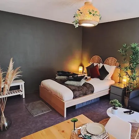 Petit Cocon Nature Centre-ville 科尔马