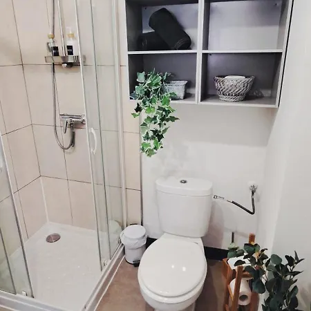 Апартаменты Petit Cocon Nature Centre-ville